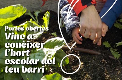 EBM Ronda: vine a conèixer l'hort escolar del teu  barri!