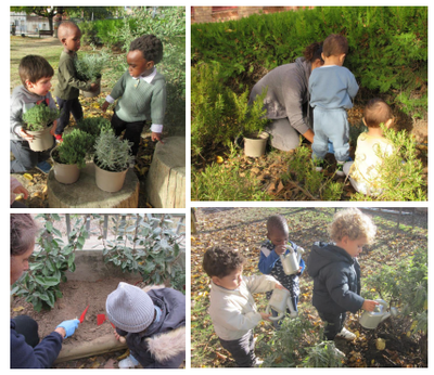 Imatge de la notícia El Jardí com espai educatiu