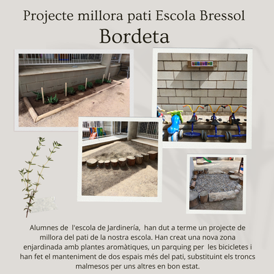 PROJECTE DE MILLORA DEL PATI