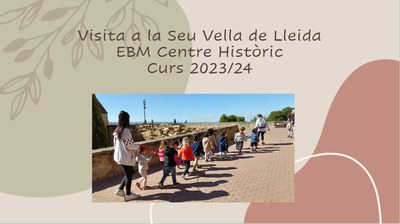 Visita a la Seu Vella