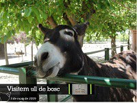 Visitem "Ull de Bosc"