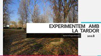 Els infants de 2 anys experimenten amb la trdor