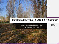 Els infants de nadons i d'un any experimenten amb la tardor
