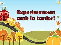 Experimentem amb la tardor