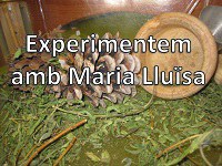 Experimentem amb Maria Lluïsa