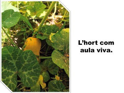 L'hort com aula viva.