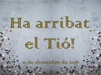 Imatge de la notícia Ha arribat el Tió!