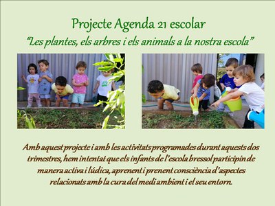 Imatge de la notícia Projecte: "Agenda21 escolar"