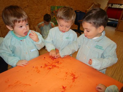 Experimentació
