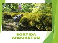 Sortida a l'Arborètum
