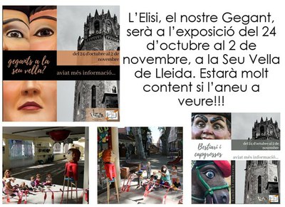 Dia de la Seu Vella-Exposició Gegantera