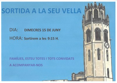 Sortida a la Seu Vella