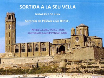 Sortida a la Seu Vella
