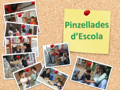 Pinzellades d'Escola: La metamorfosi