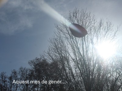 Aquest mes de gener...