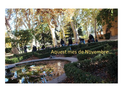 Aquest mes de novembre...