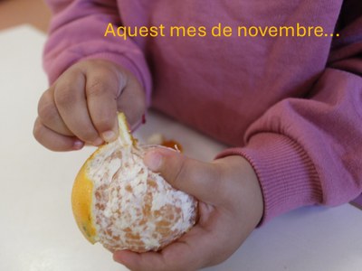 Aquest mes de novembre...