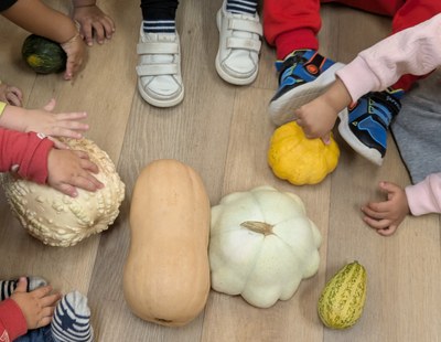 Experimentació amb carabasses