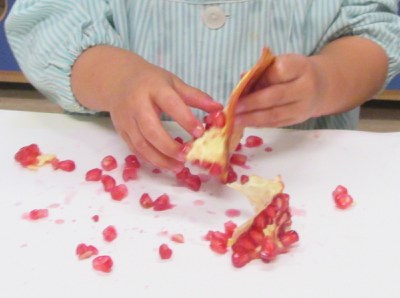 Experimentació amb magranes