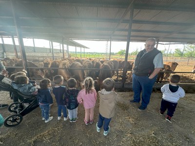 Imatge de la notícia Sortida a la granja de vaques