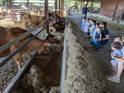 Vaques i gallines
