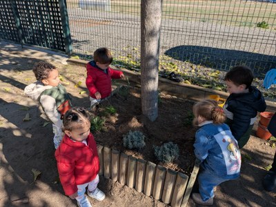 Imatge de la notícia Enjardinem el pati