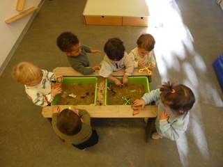 Experimentació sensorial 