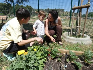 Imatge de la notícia Tenim un hort a l'escola