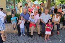 Festa d'avis i àvies.