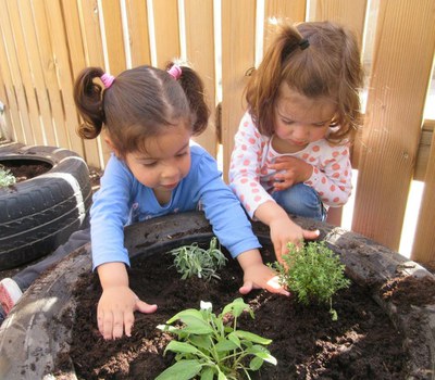 Imatge de la notícia Treballem la natura amb les plantes 