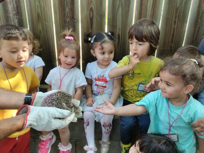Sortida al Centre de Recuperació de Fauna de Vallcalent