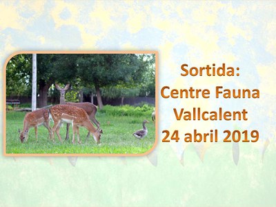 Sortida Centre de Recuperació de Fauna Vallcalent