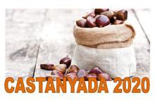 CELEBREM LA CASTANYADA