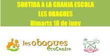 Sortida a les Obagues