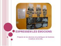 Expressem les emocions