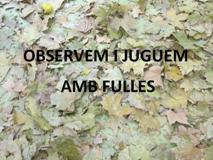 OBSERVEM I JUGUEM AMB FULLES