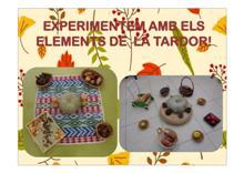 Experimentem amb els elements de la tardor!