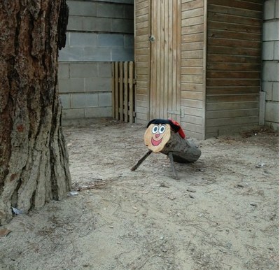 Sortida a buscar el tió!