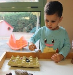 Imatge de la notícia Elements de la tardor