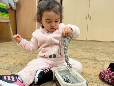 Imatge de la notícia Plantejant hipòtesis