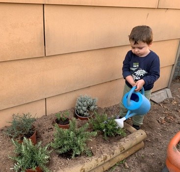 Espai verd al pati de l'escola