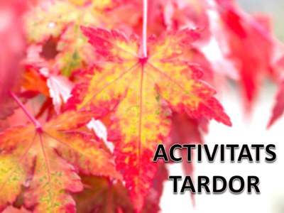 Activitats de la Tardor