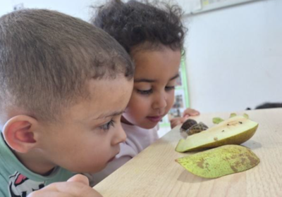 Projecte Experimentació i Natura