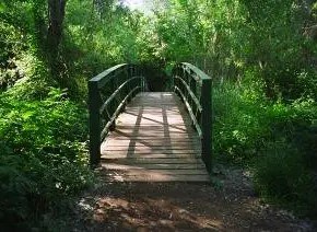 Imatge de la notícia Anem al Parc de la Mitjana