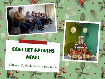 CONCERT PADRINS AFALL