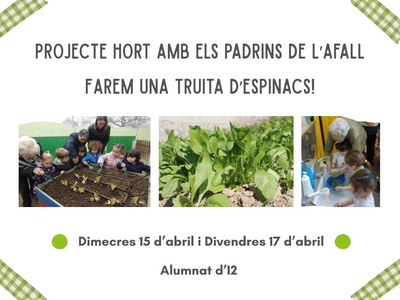 Fem truita d'espinacs!