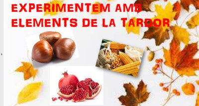 Experimentem amb elements de la tardor