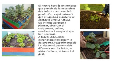 L'HORT A L'ESCOLA