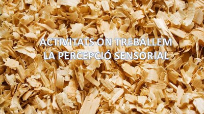 Treballem la percepció sensorial