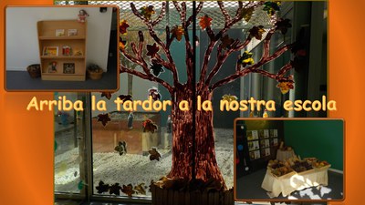 Imatge de la notícia Descobrim la tardor a l'escola